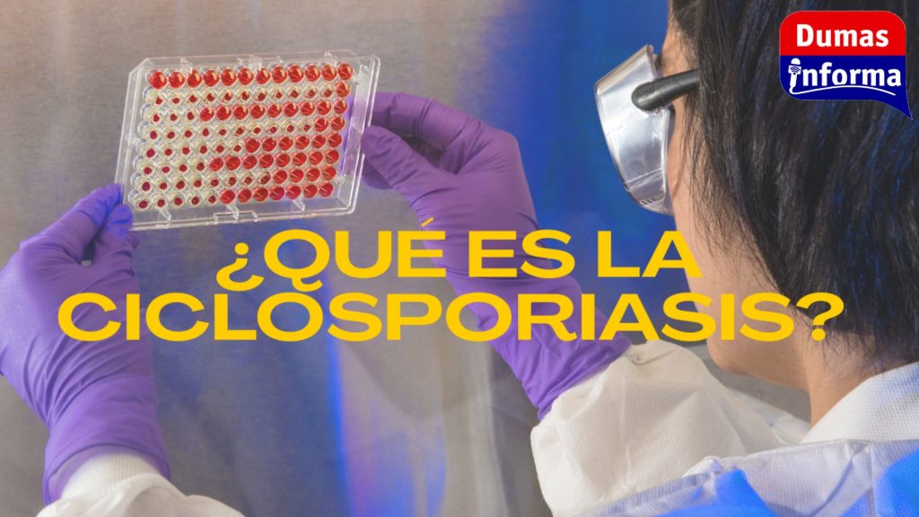 Copia de +