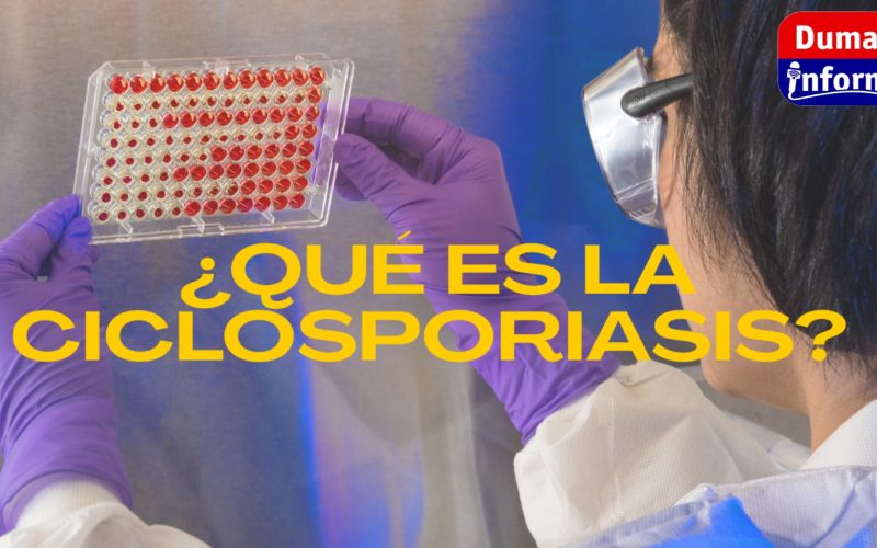Copia de +