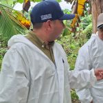 Bocas del Toro se prepara ante hongo que amenaza plantaciones de banano