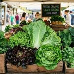 Brote de diarrea por parásito supera los 3.000 casos en Michigan y Ohio: sospechan de la lechuga