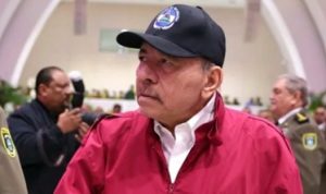 ortega