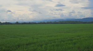 images (1)