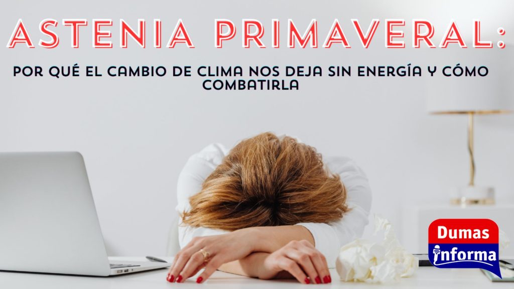 Copia de +
