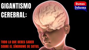 Copia de +