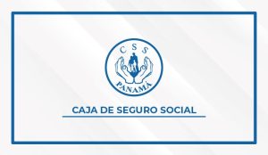 logo-css-web-4